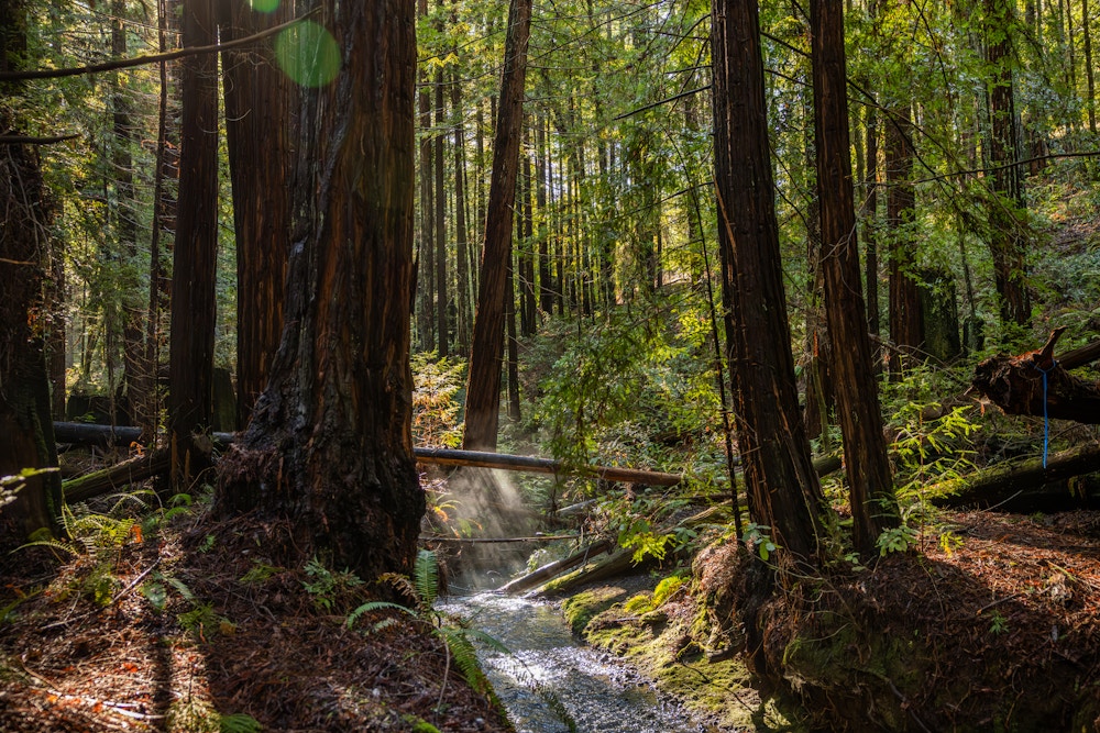 River Restoration for Trout Unlimited