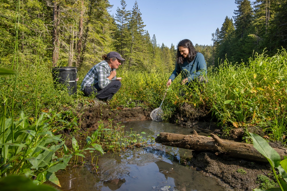 River Restoration for Trout Unlimited