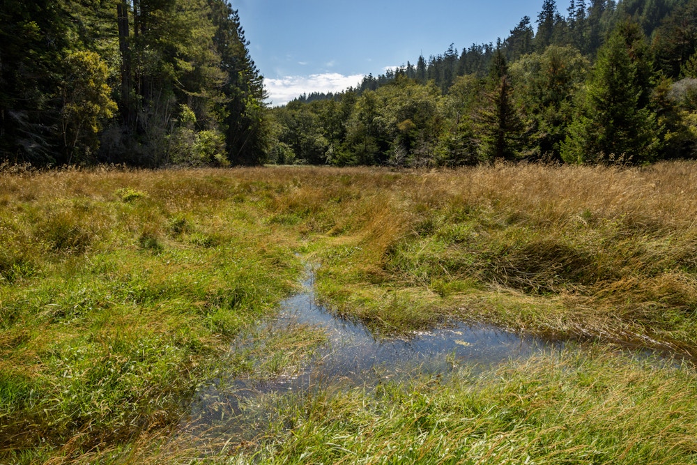 River Restoration for Trout Unlimited