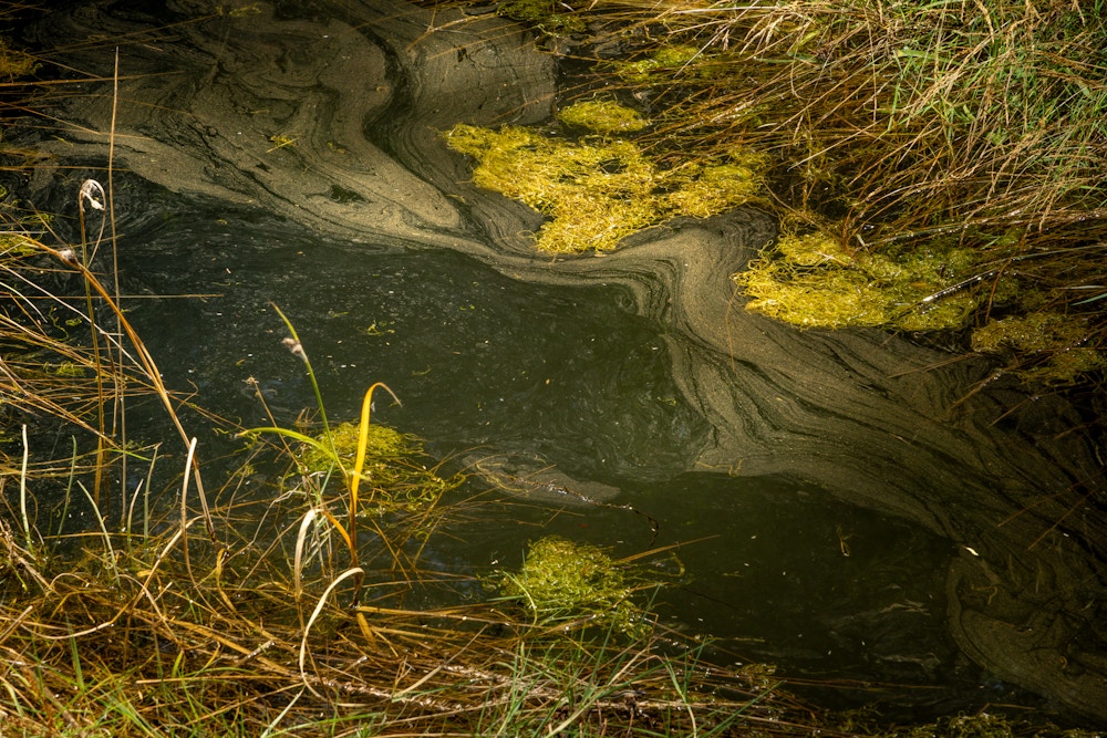 River Restoration for Trout Unlimited