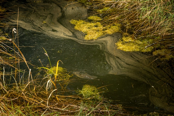 River Restoration for Trout Unlimited