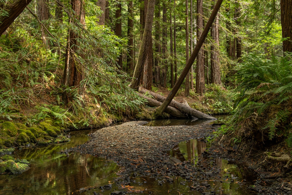River Restoration for Trout Unlimited