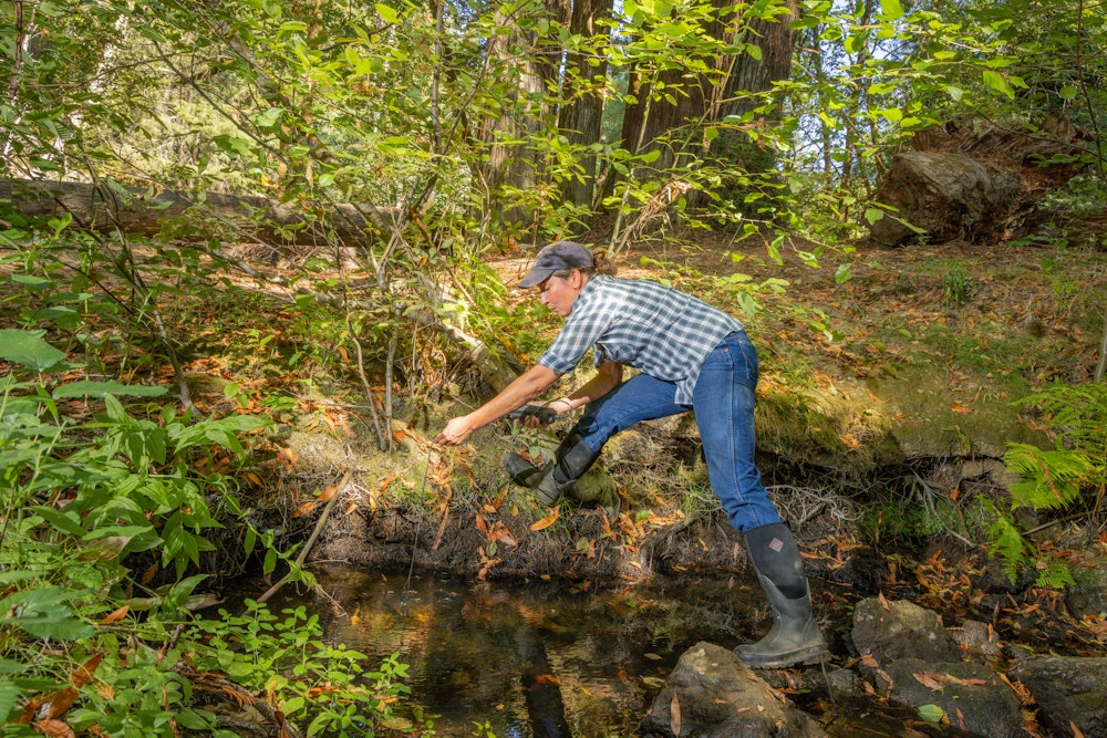 River Restoration for Trout Unlimited