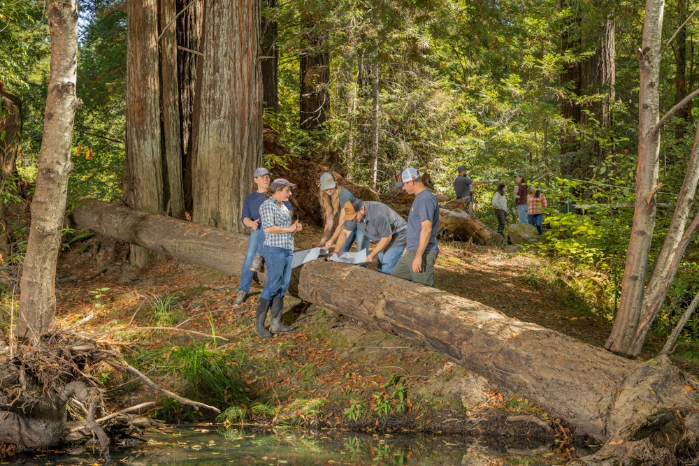 River Restoration for Trout Unlimited