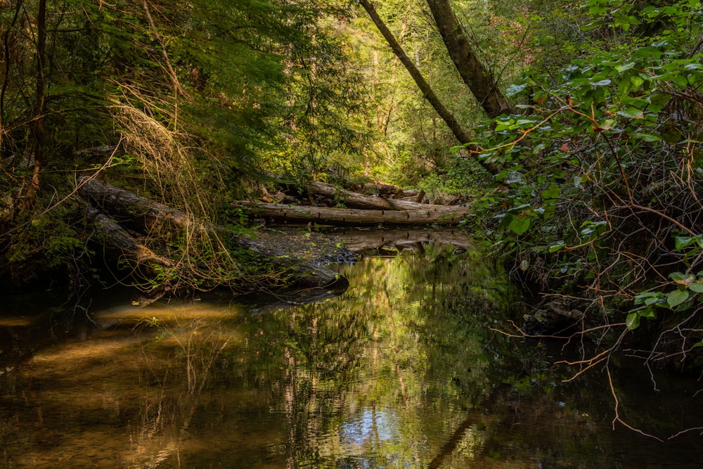 River Restoration for Trout Unlimited