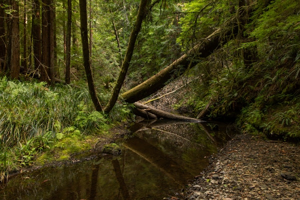 River Restoration for Trout Unlimited
