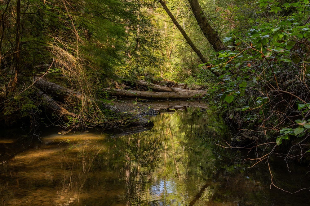 River Restoration for Trout Unlimited