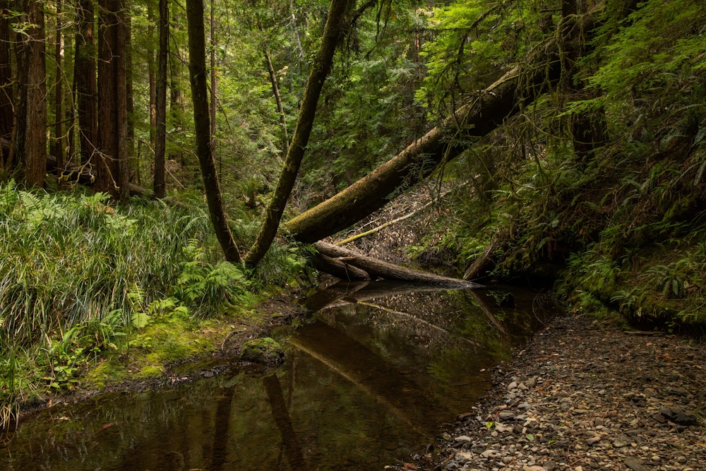 River Restoration for Trout Unlimited