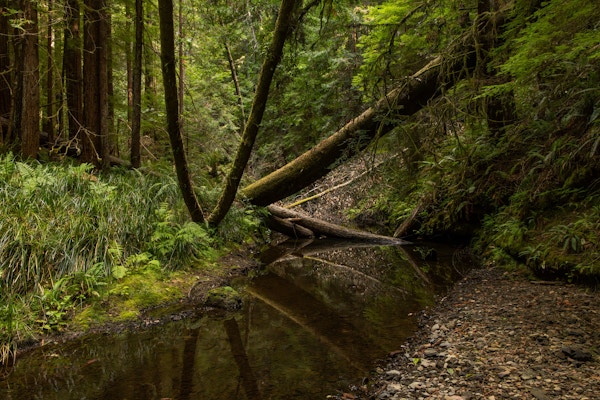 River Restoration for Trout Unlimited