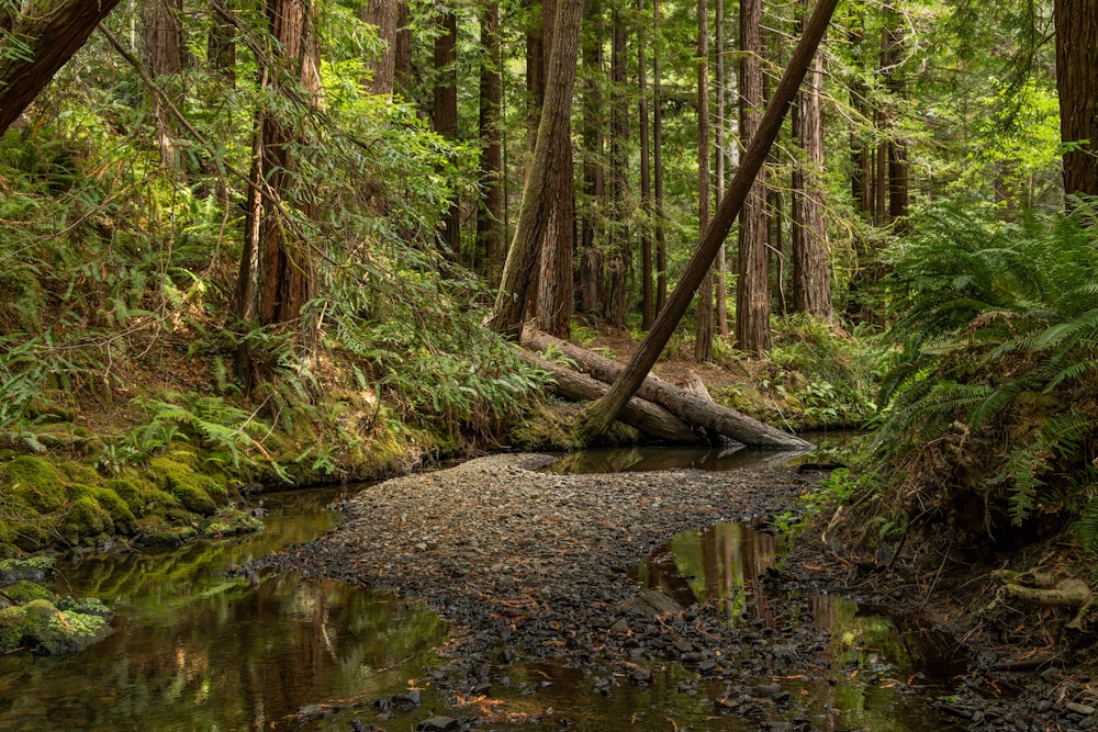 River Restoration for Trout Unlimited