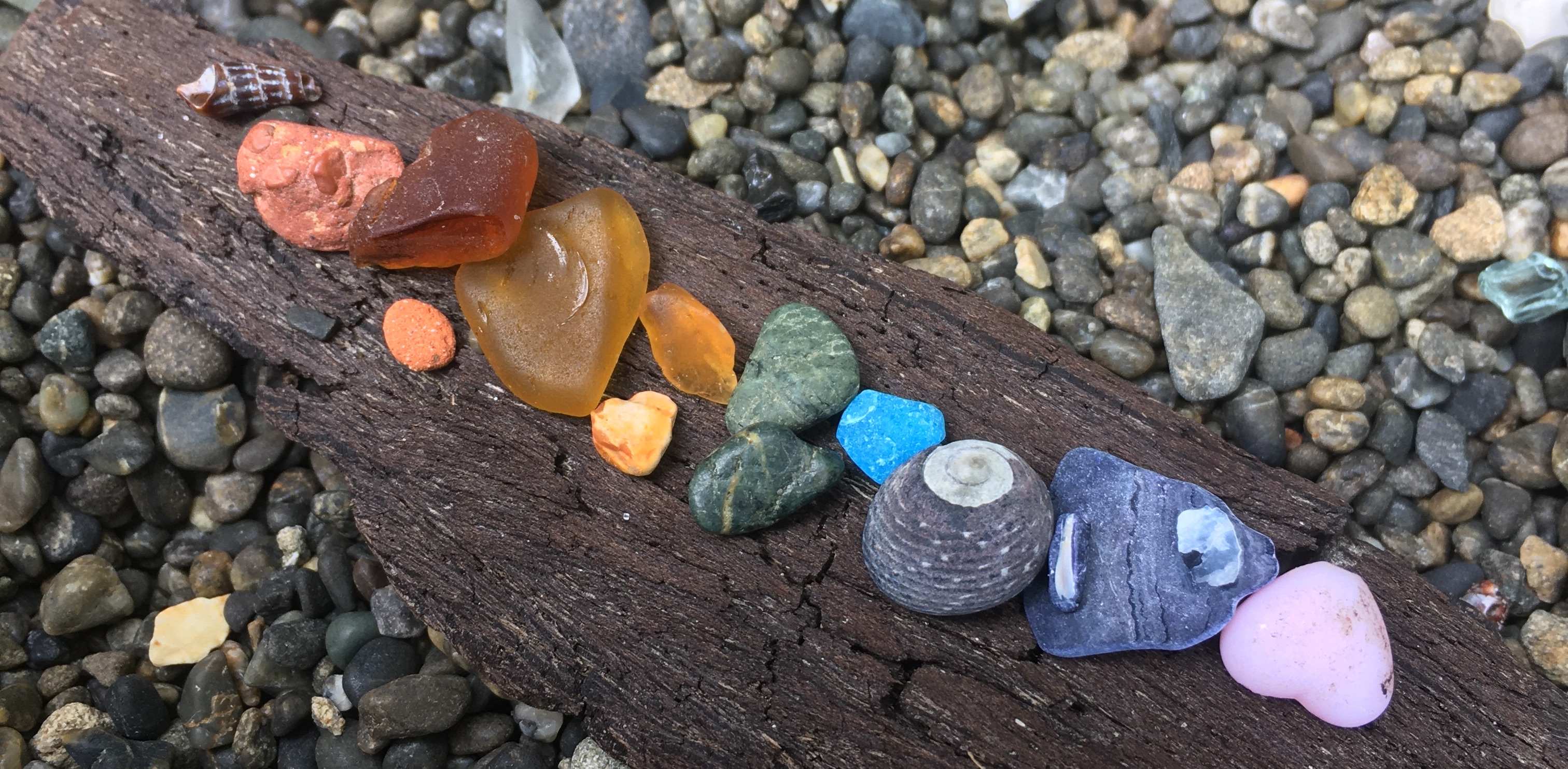 A variety of shells, stones, and sea glass arranged in a rainbow on a piece of driftwood, with small beach pebbles in the background