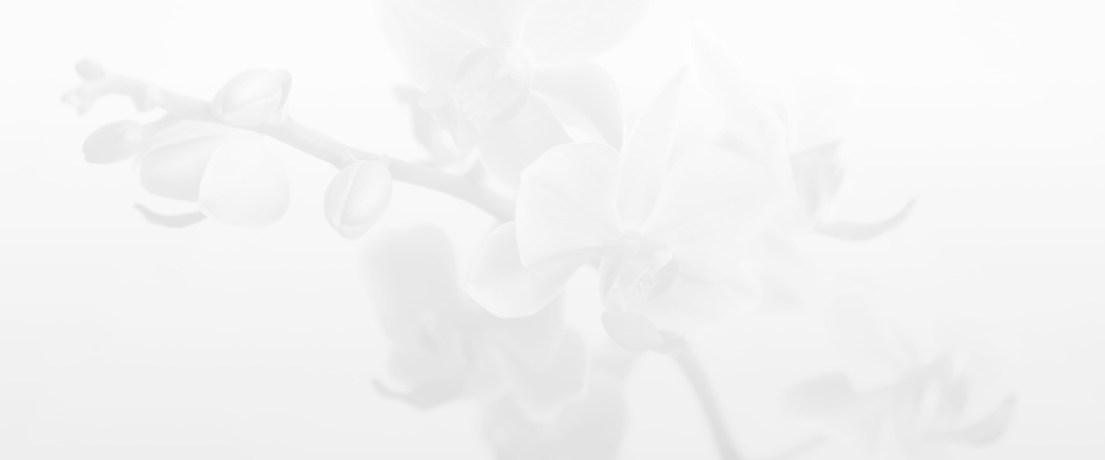 Banner media