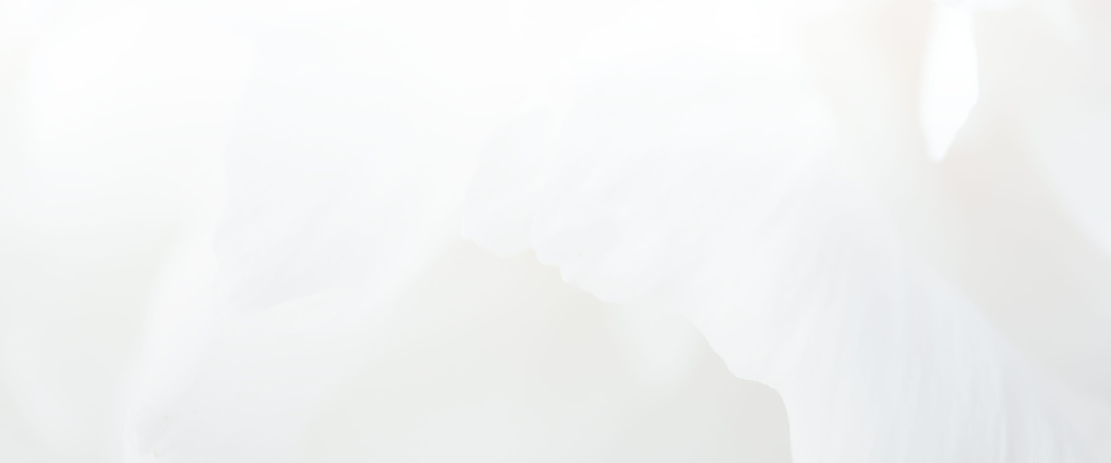 Banner media