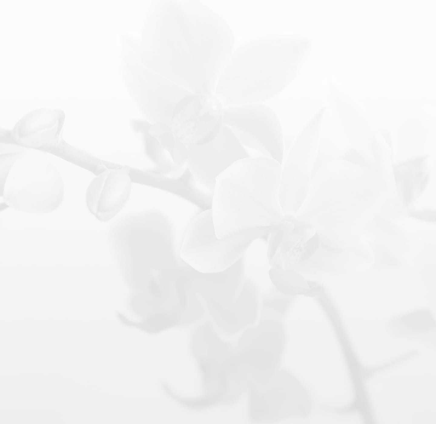 Gallery media
