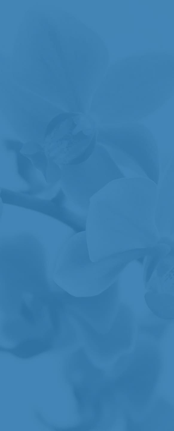 blue floral background