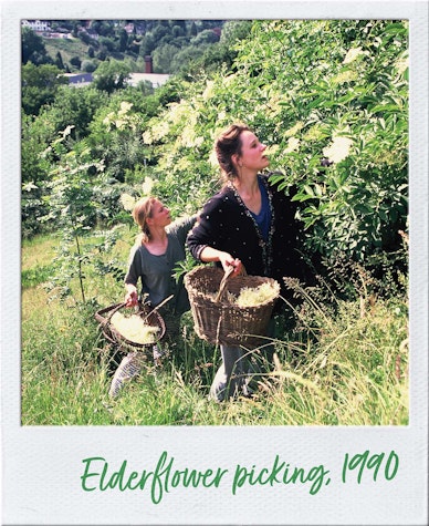 Elderflower picking 1990