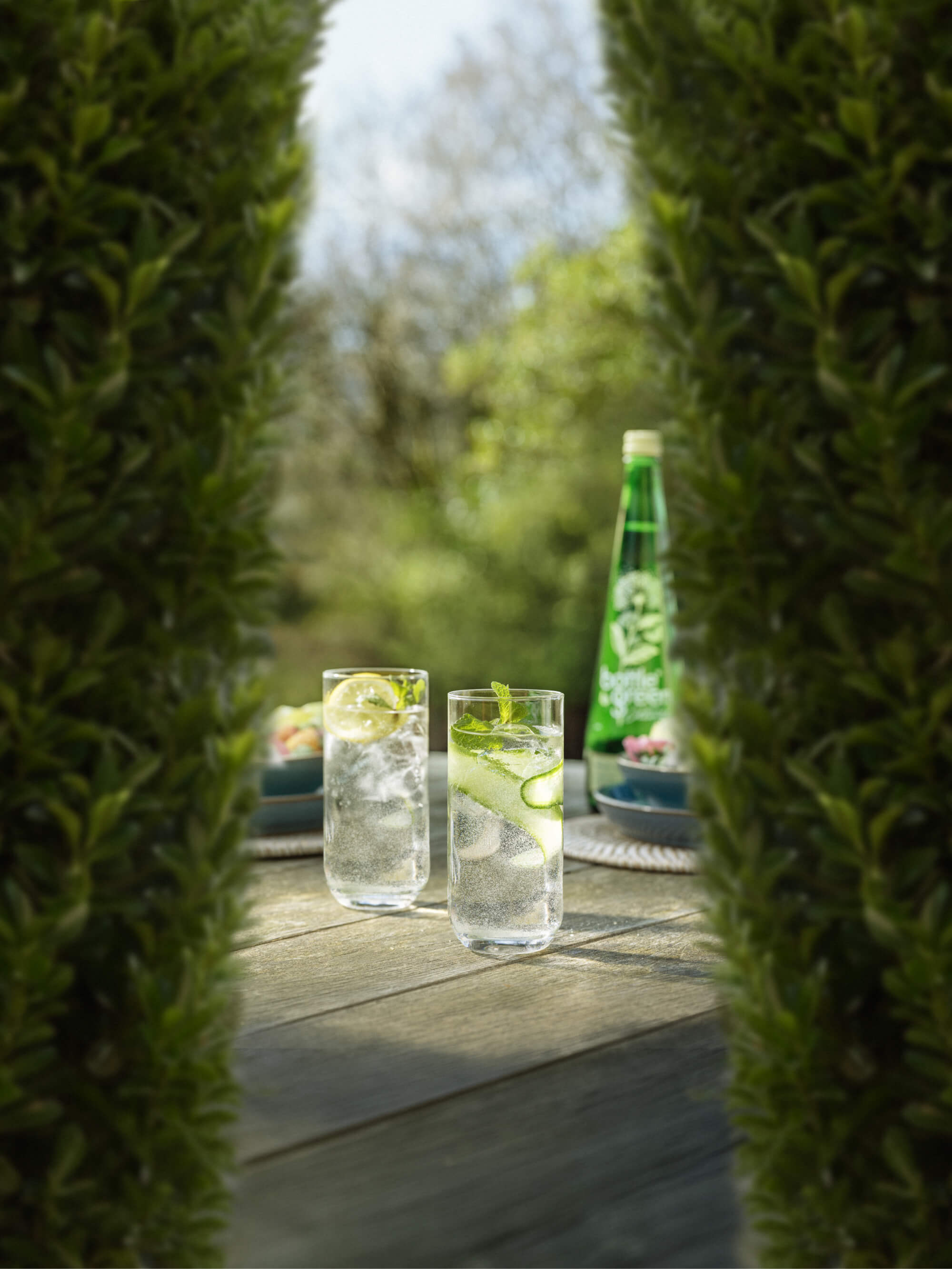 Drinking Elderflower Presse