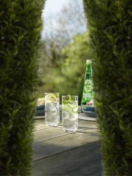 Drinking Elderflower Presse