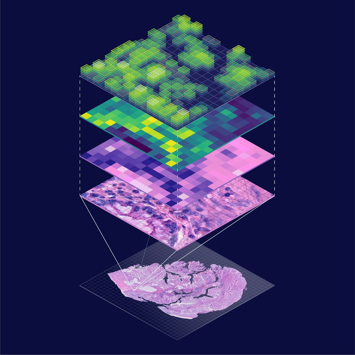 Resolute Bio raises €10m to build molecular intelligence using spatial ...