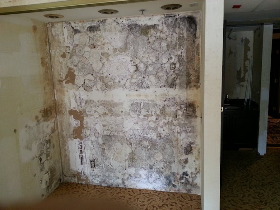 Water Damage