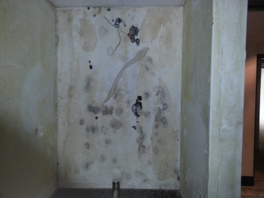 Water Damage