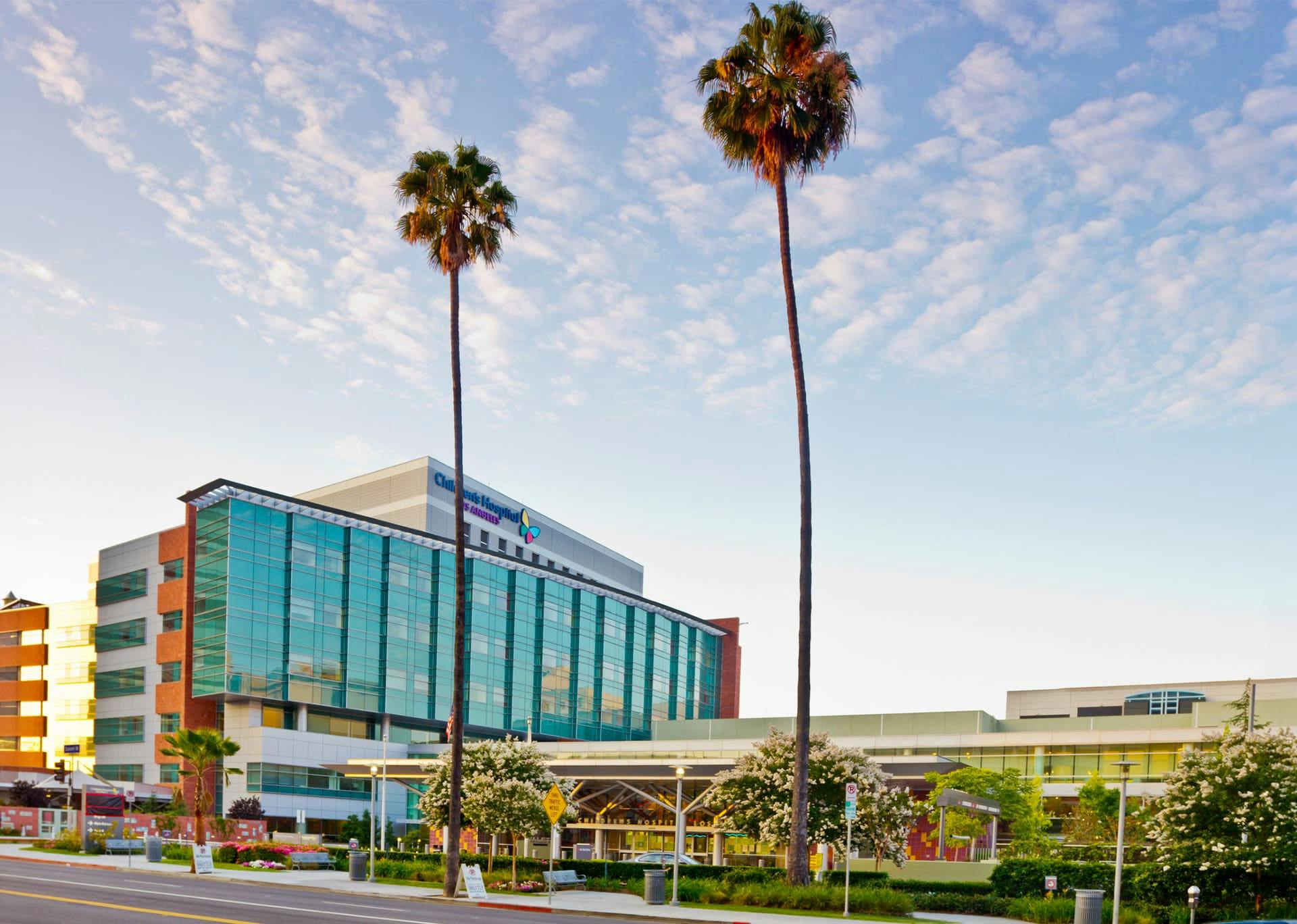 palm trees and a building
