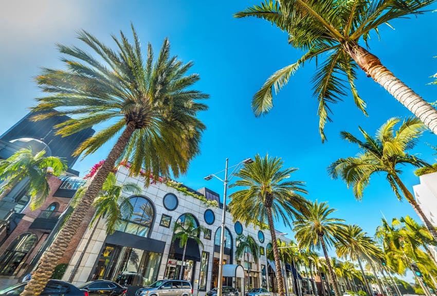 palm trees and a building