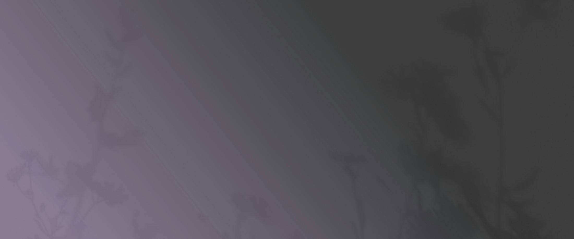 Banner media