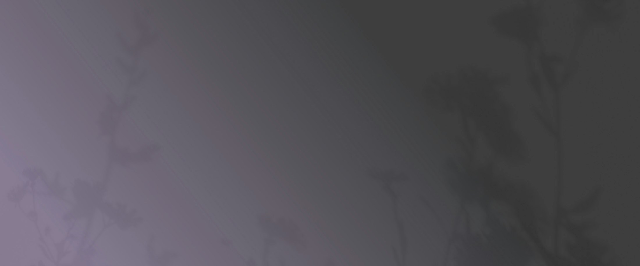 Banner media