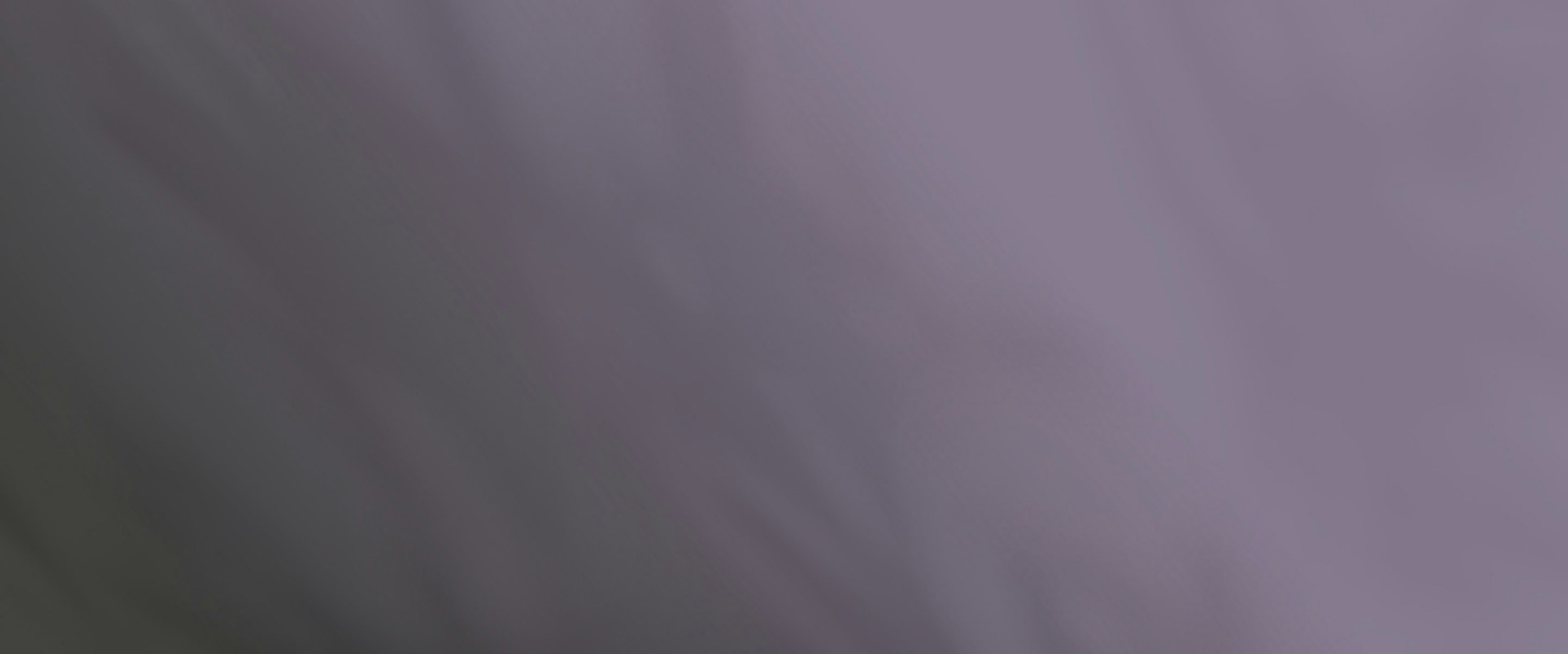 Banner media