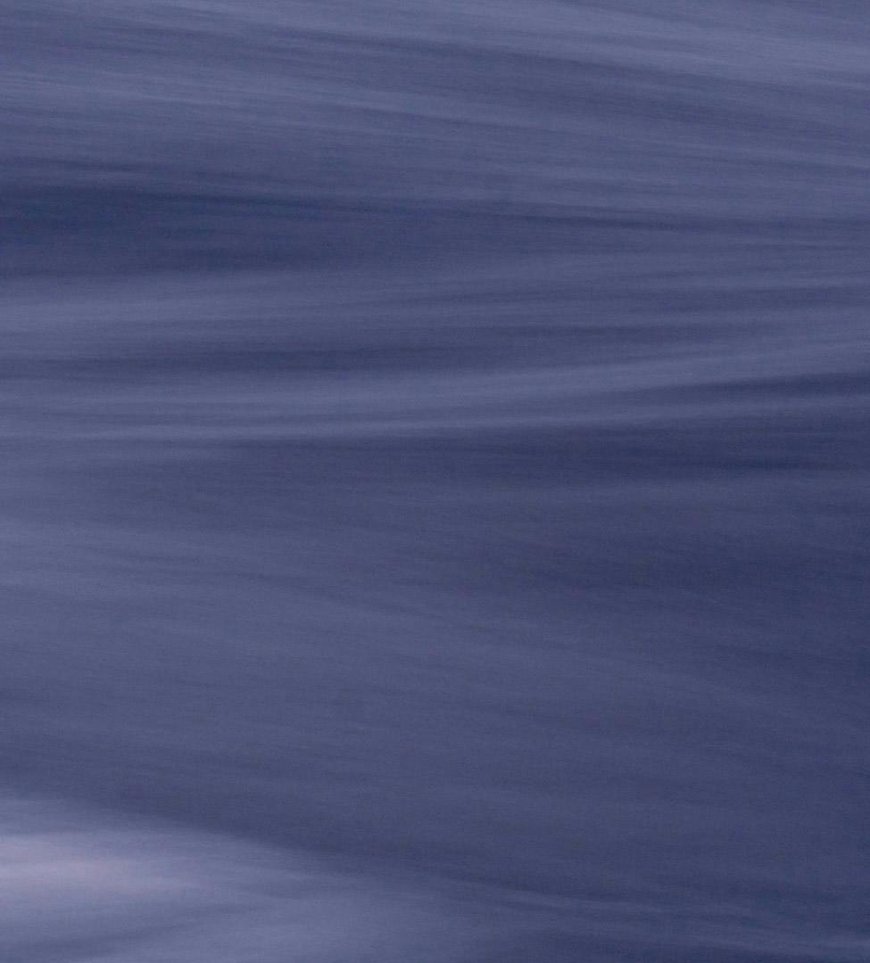 purple background