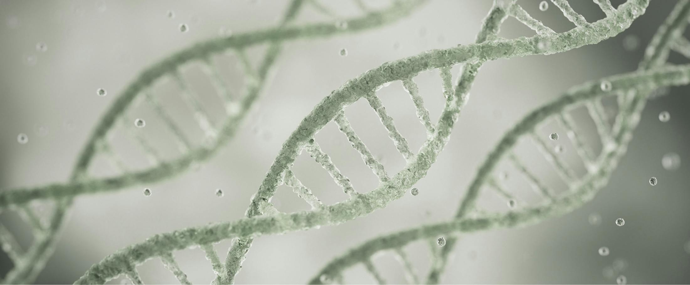 dna strands