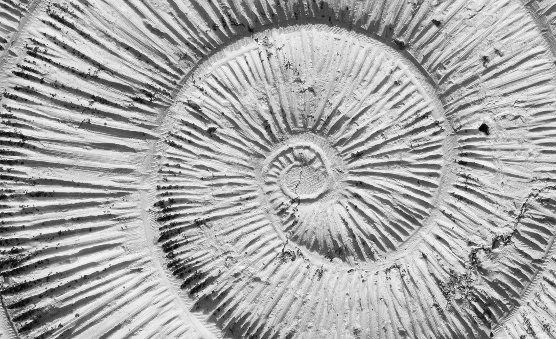 fossil