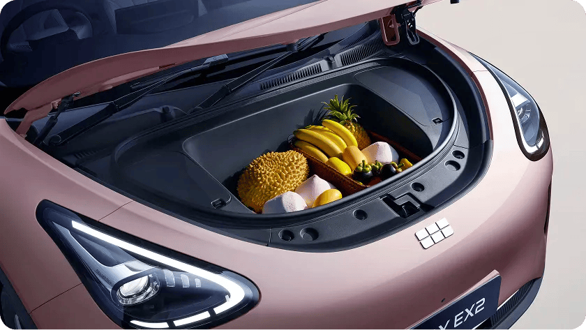 70L Large Front Trunk Frunk