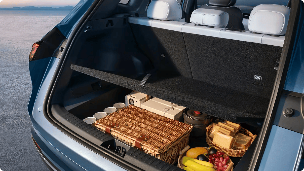 2065L Trunk Capacity