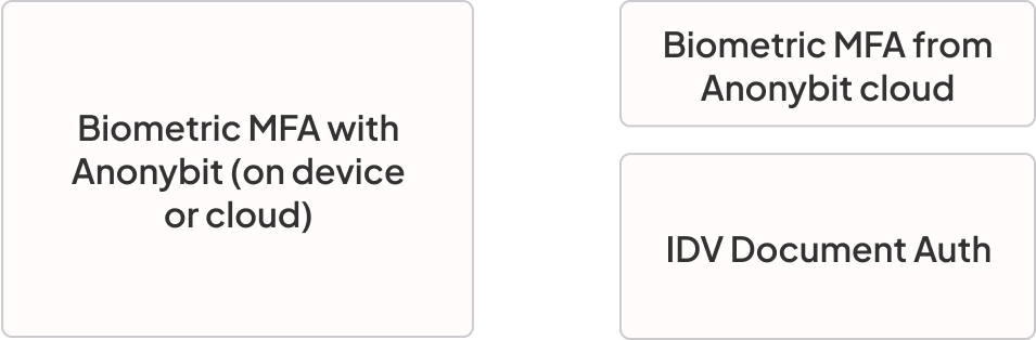icon1