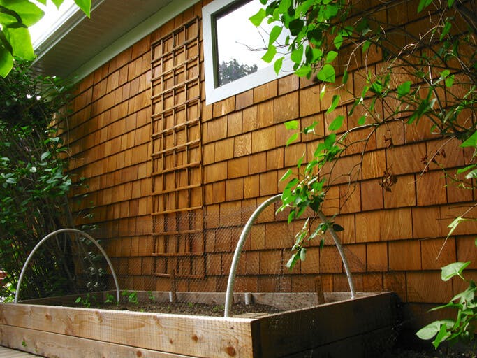 Lattice along side with box garden
