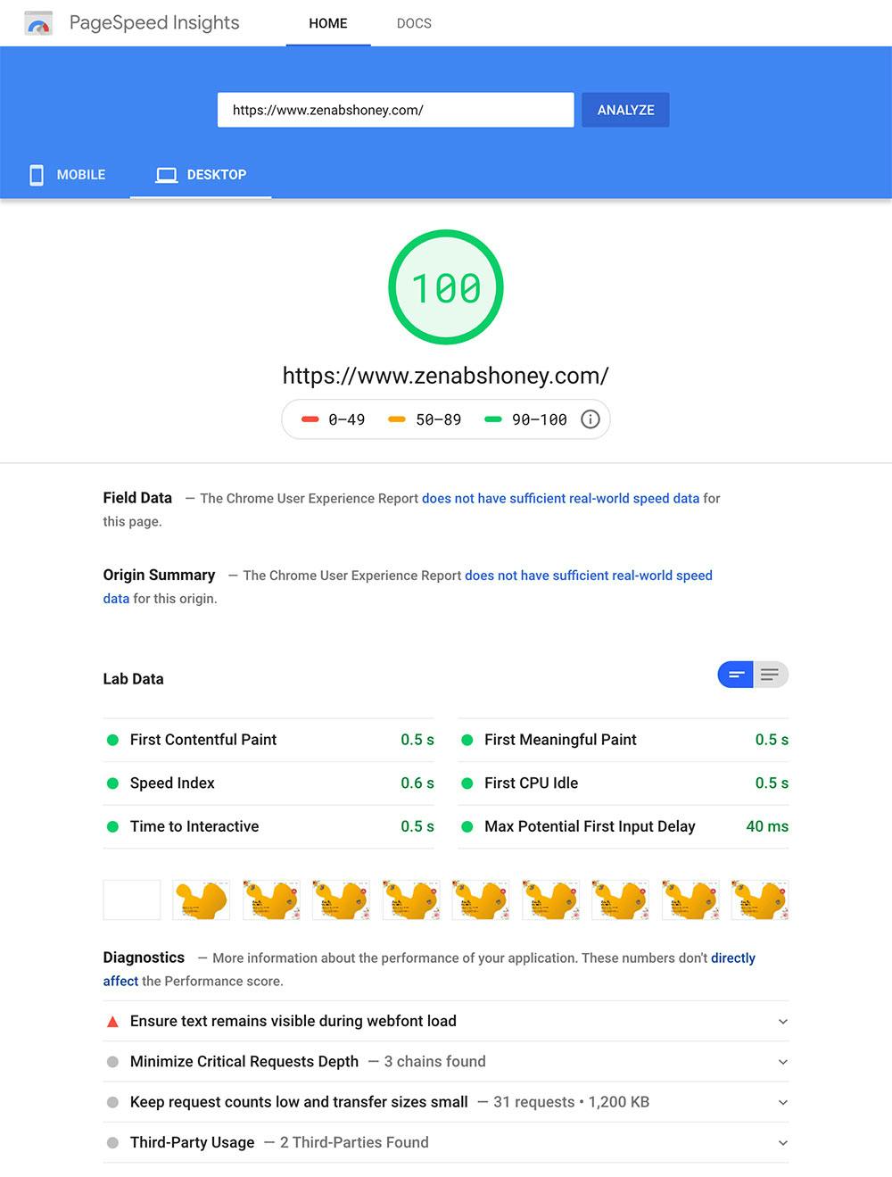 100% Google PageSpeed Insights Score