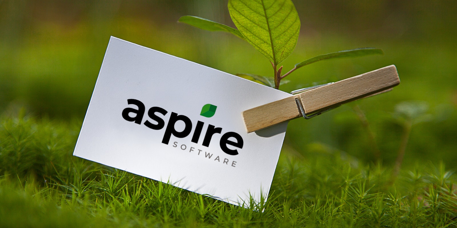 Graphic showing an Aspire logo card attached to a growing plant sprout, symbolizing business growth and connected landscaping operations.