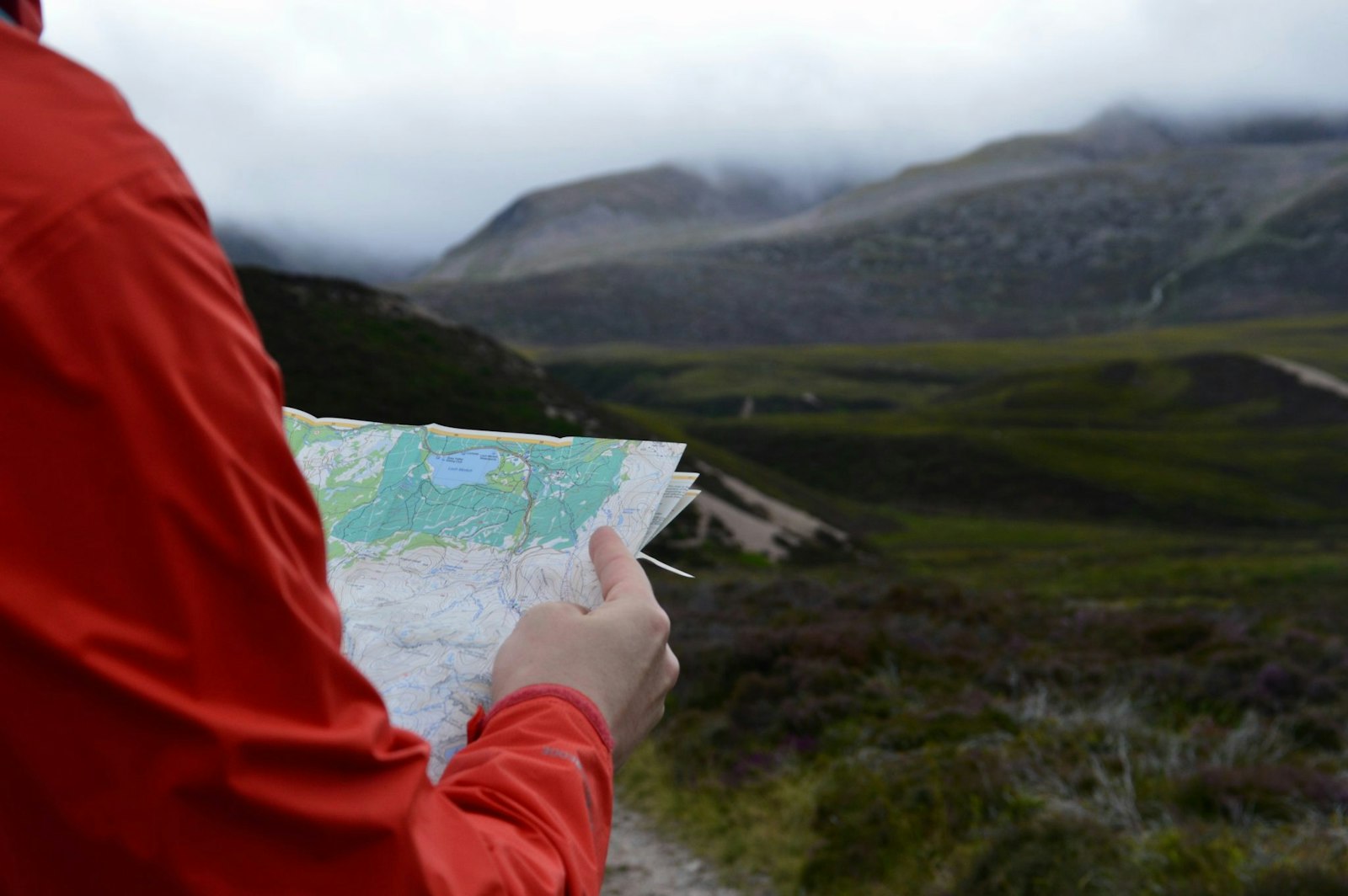 Graphic featuring a person holding a map outside, symbolizing exploration, digital transformation, and adapting to online change.