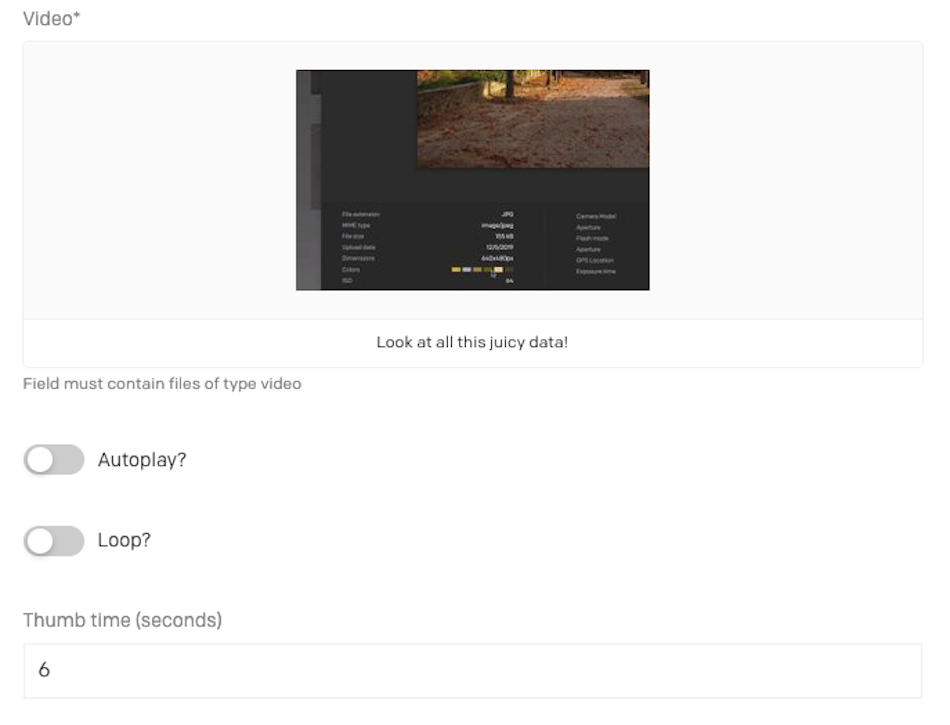 We can set up autoplay and loop on our content directly from the record editing interface