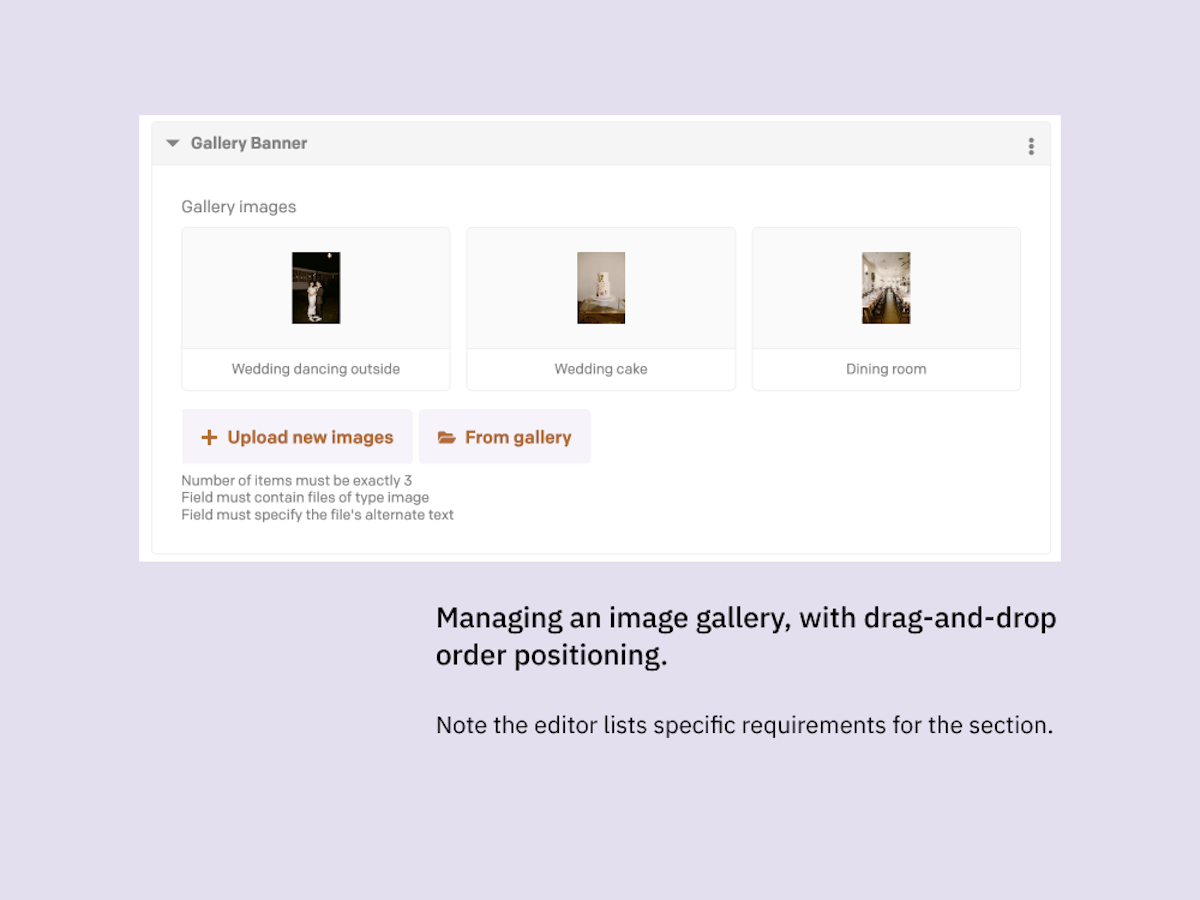 Example of an image gallery within DatoCMS.