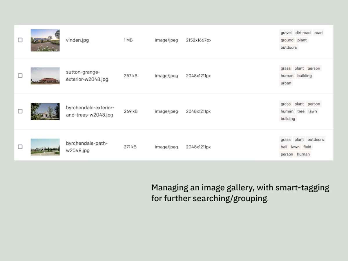 An example of four image records and their metadata.
