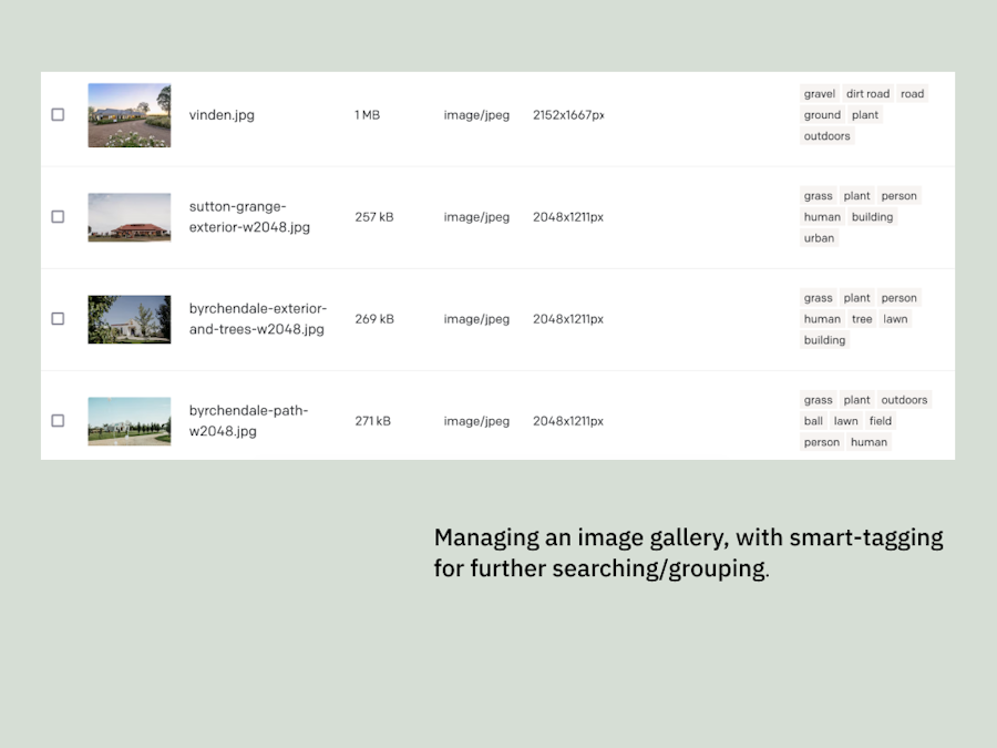 An example of four image records and their metadata.
