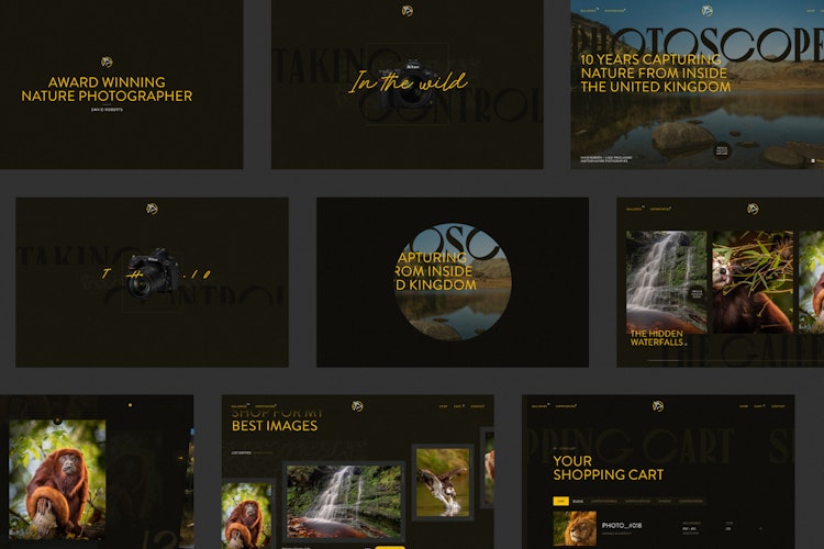 12 Studio – Photoscoper: Desktop 12 Studio – Photoscoper: Desktop