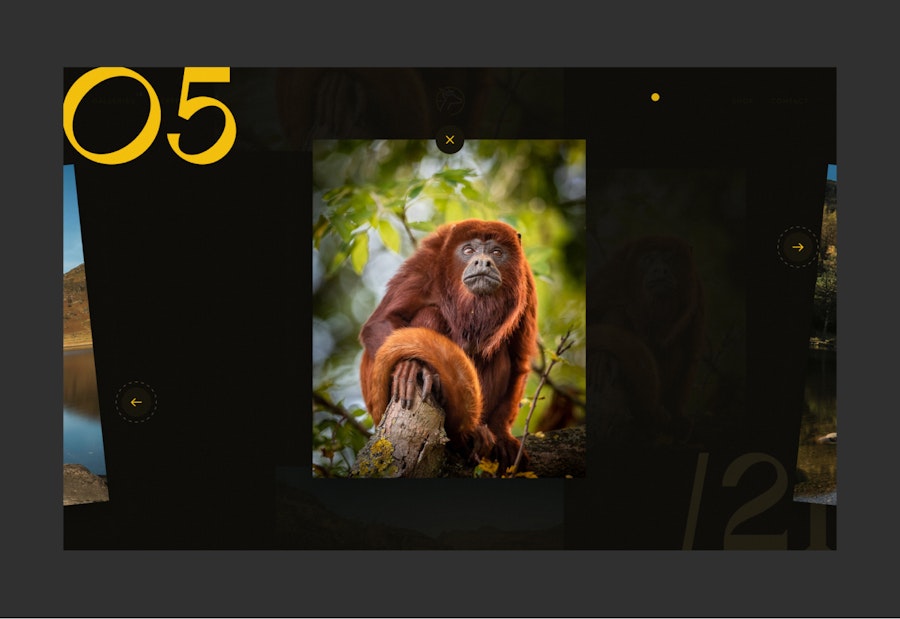 12 Studio – Photoscoper: Desktop Gallery