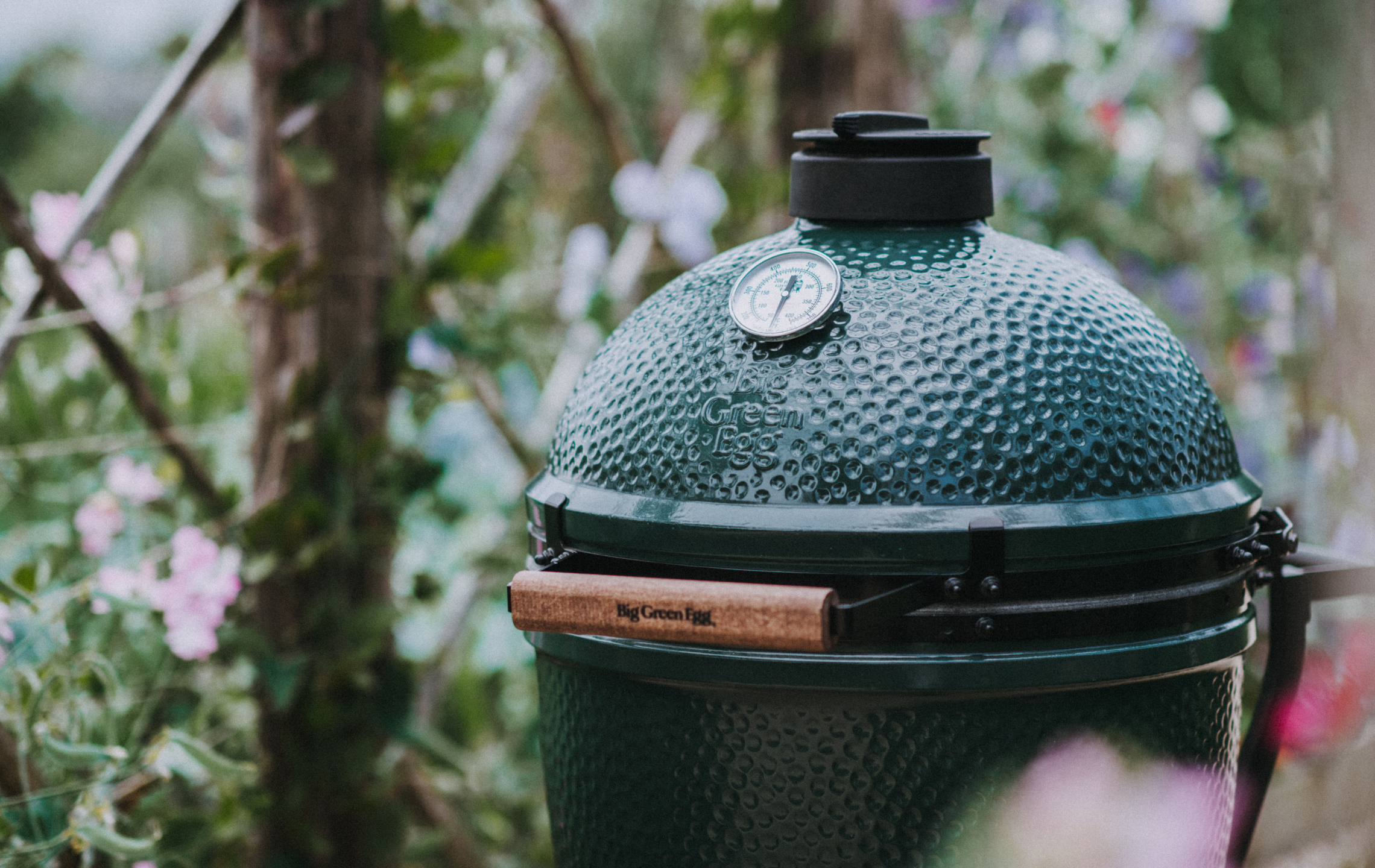 Big Green Egg Barbecue