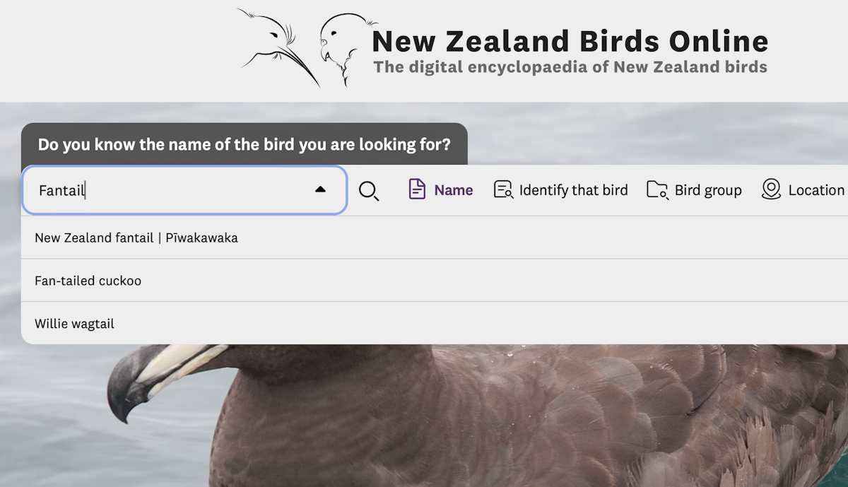 Search example of searching for bird by name