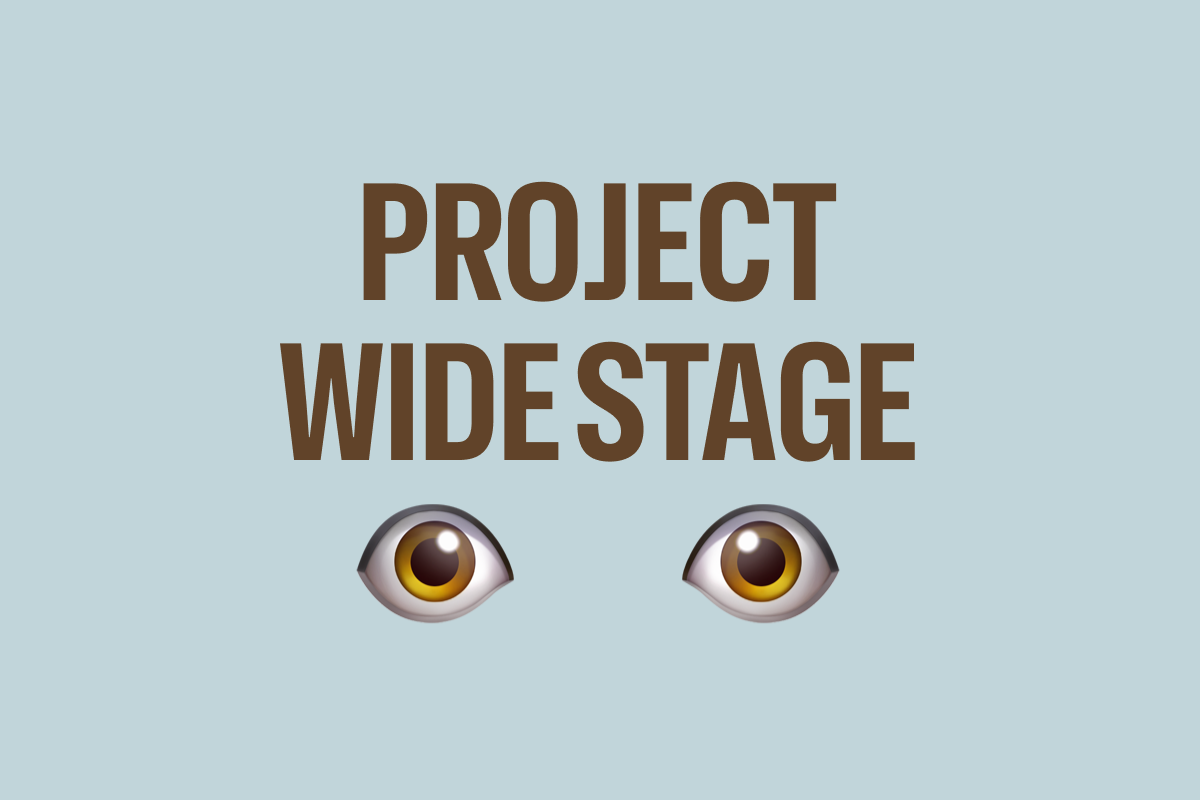 Project Wide Stage Viewer - Plugins — DatoCMS