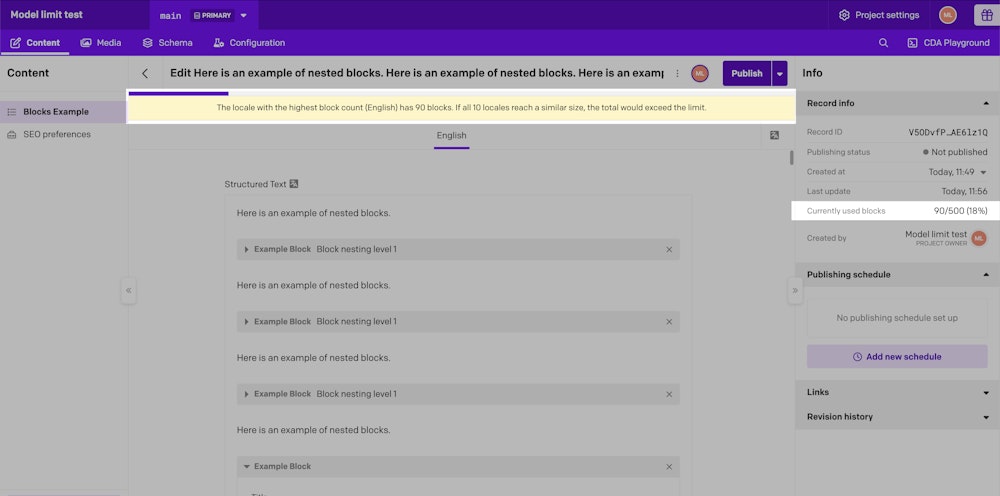 Record showing its blocks limit and a warning about blocks x locales exceeding that limit
